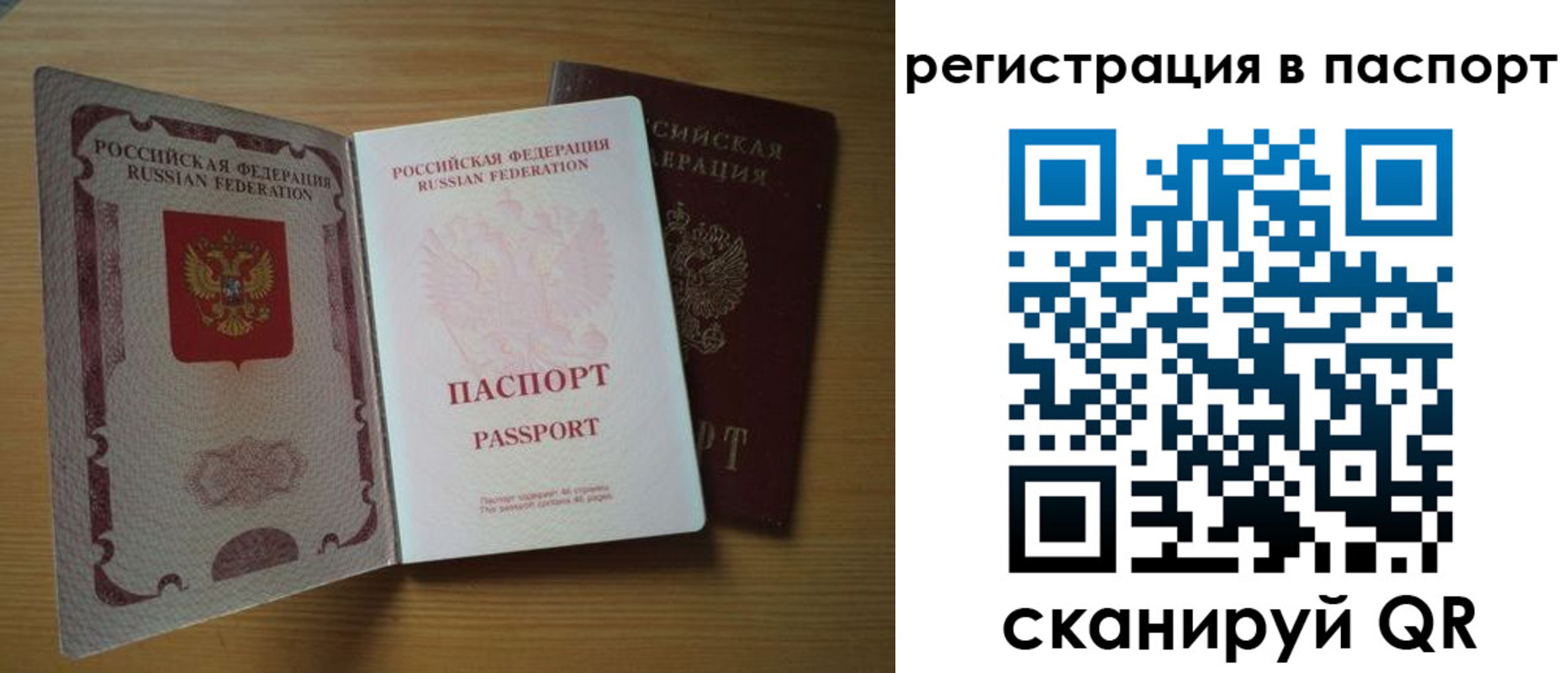 прописка для школы в Смоленской области